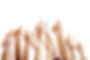 shutterstock_151790942 A.jpg