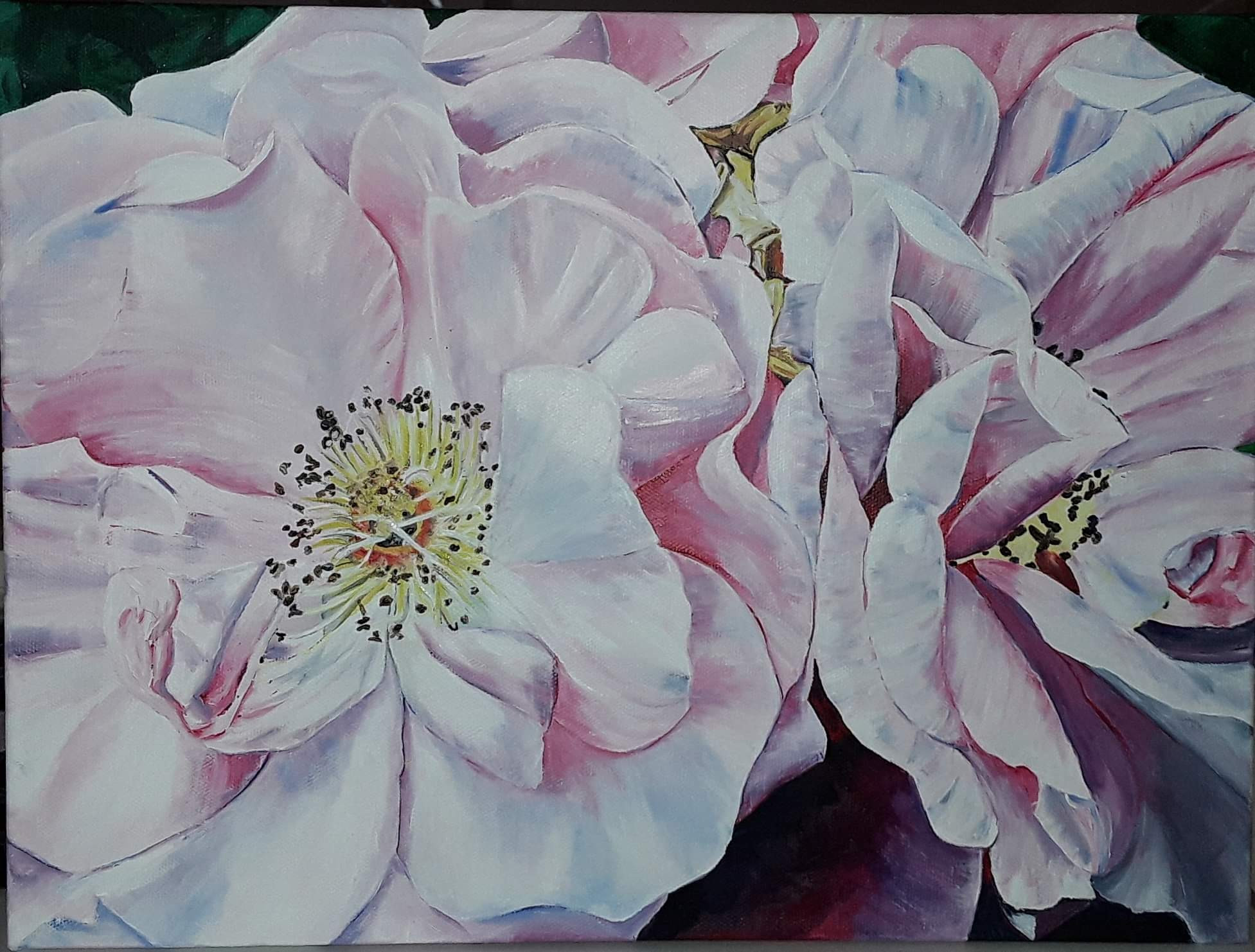 Pink Passion