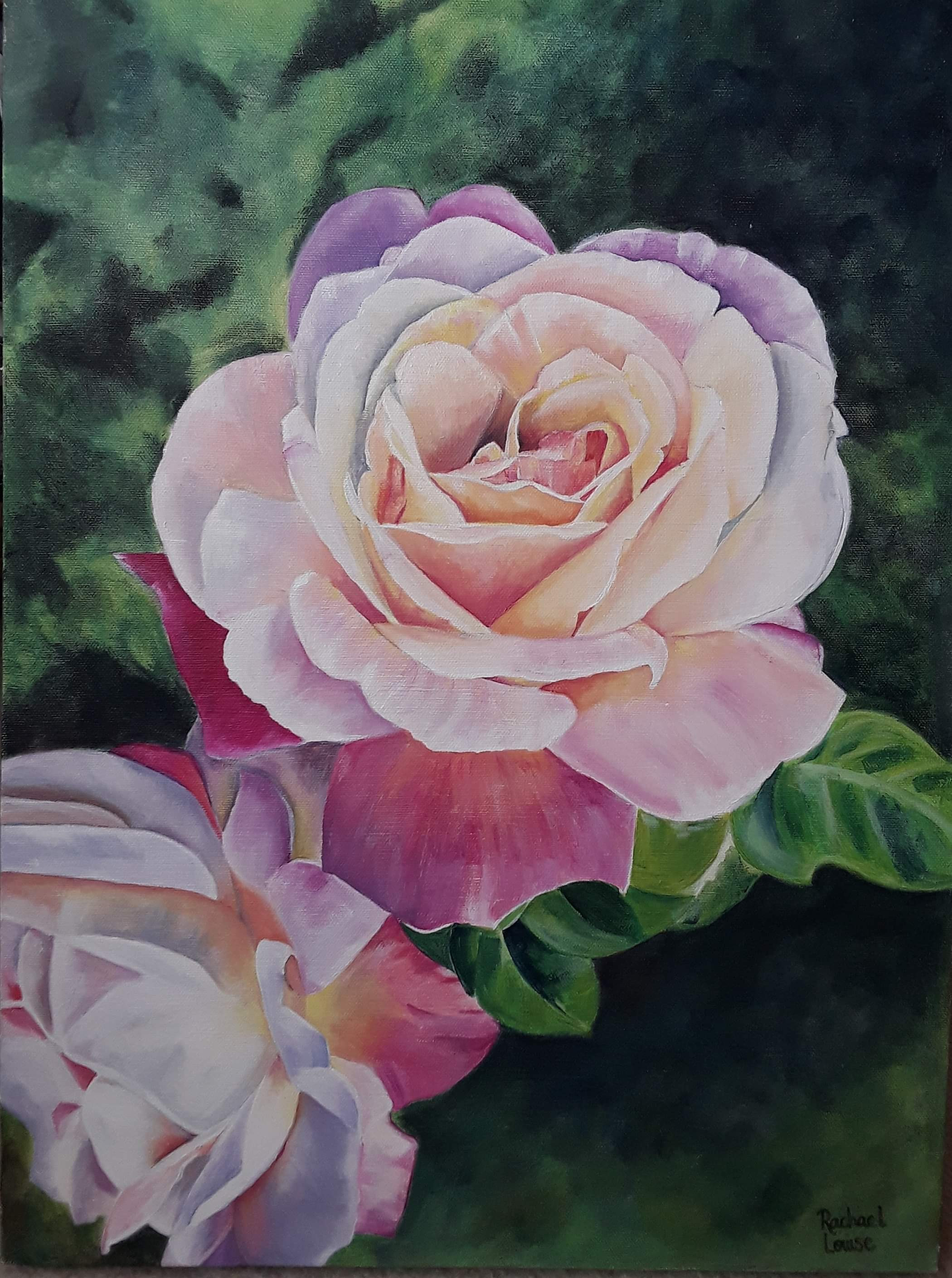 Jenny's Rose