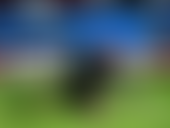 Tim Howard: o goleiro que defendeu mais do que gols
