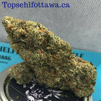5A-Gas Mask-33%THC-Indica
