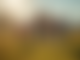 Nature Storytelling: Boost Engagement for Agritourism Clients