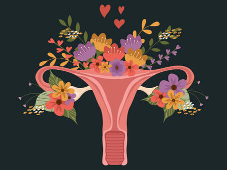 Impactos da Nutrição na Saúde Hormonal da Mulher
