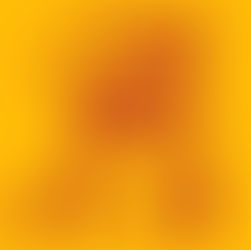 Mobility Solution for the Elderly (Graduation Project)