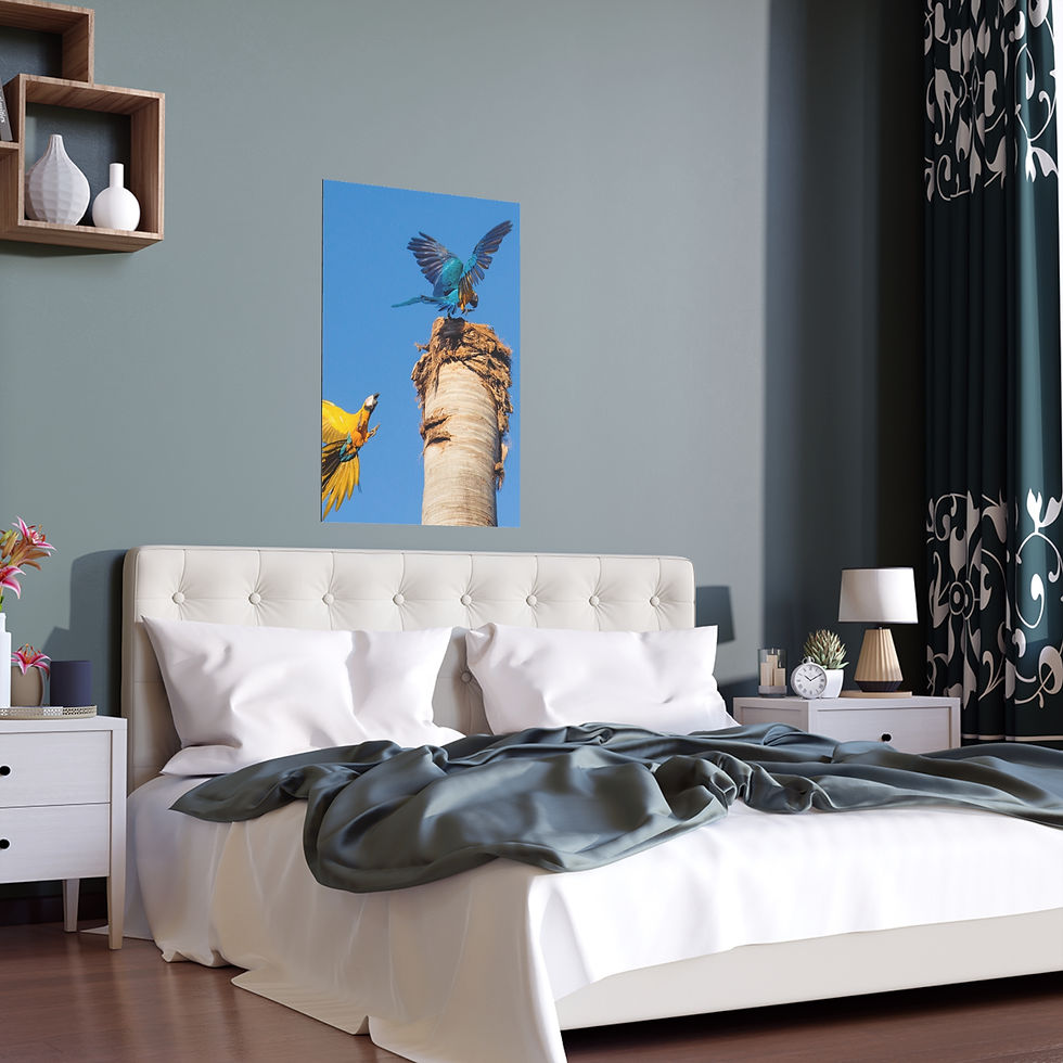 Thumbnail: "Battle of the Brightest" – Vibrant Macaw Art Print