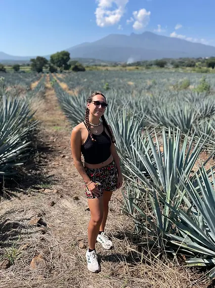 Mexico-Chill-agave-heart-pinas-roasting