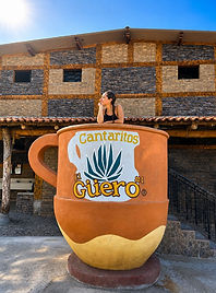 Tequila & Cantaritos El Guero Tour desde Guadalajara