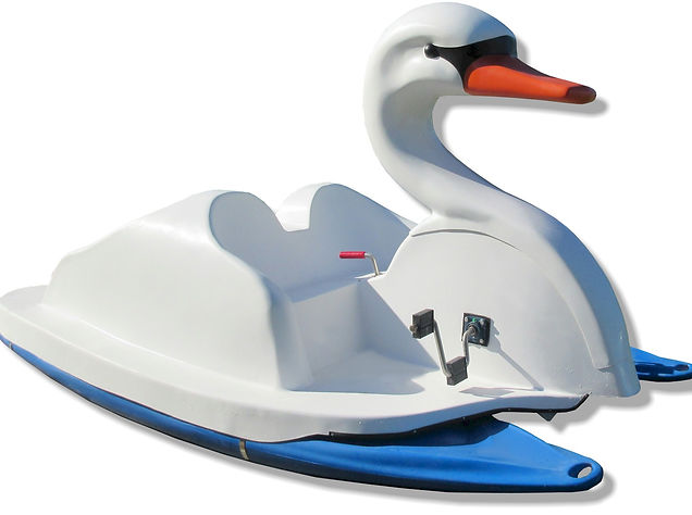 Fantasy Fusion Swan Pedal Boat