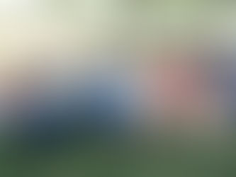 Extended Family Session