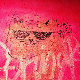 kitty welcome.JPG