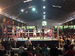 Blow by Blow Reloaded