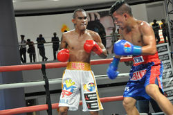 11895941_1636819889899628_9188355056794938164_n