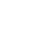 OPTIONAL MENU.png