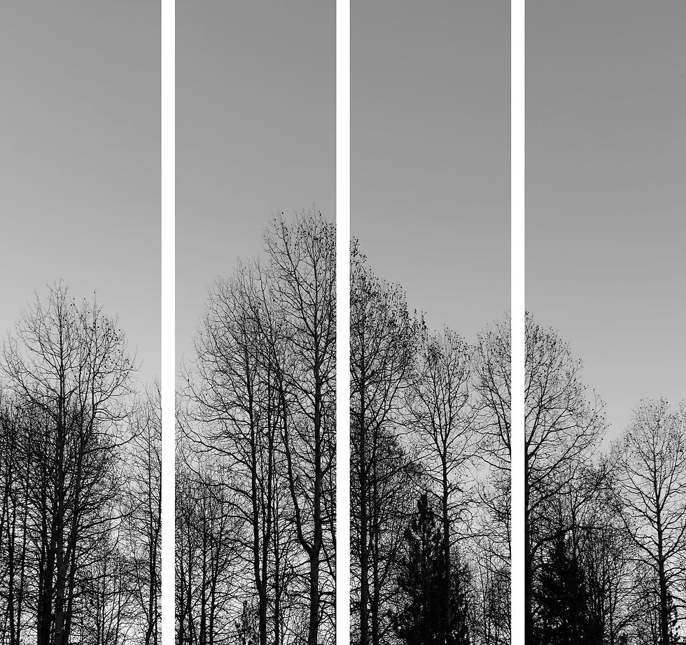 AL17513_SO4_24x96