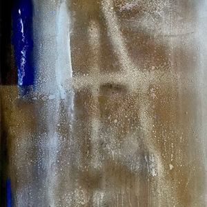 Demolition and Domestication of Wild Horses