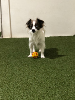 Max