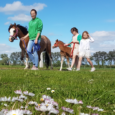 Hoeve Maedelstede_ Westhoek_activiteiten