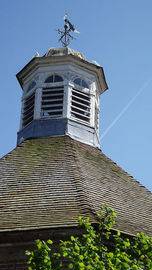 DSCF0123.JPG