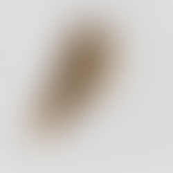 Our 5 tips to take care of the feathers