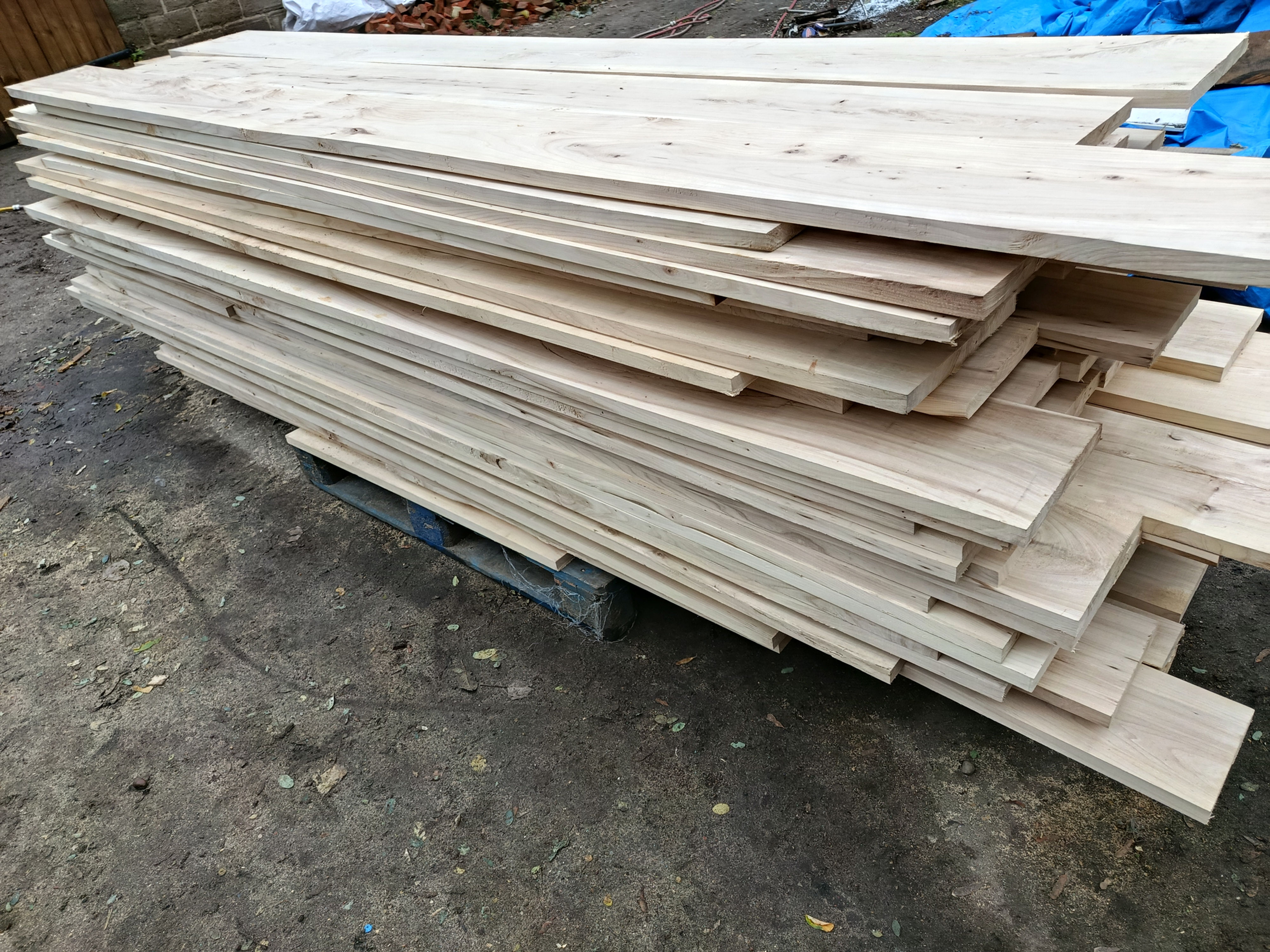 Elm floorboards. Up to 10 ft From 5 to 10 inch wide. 23 mm thick.