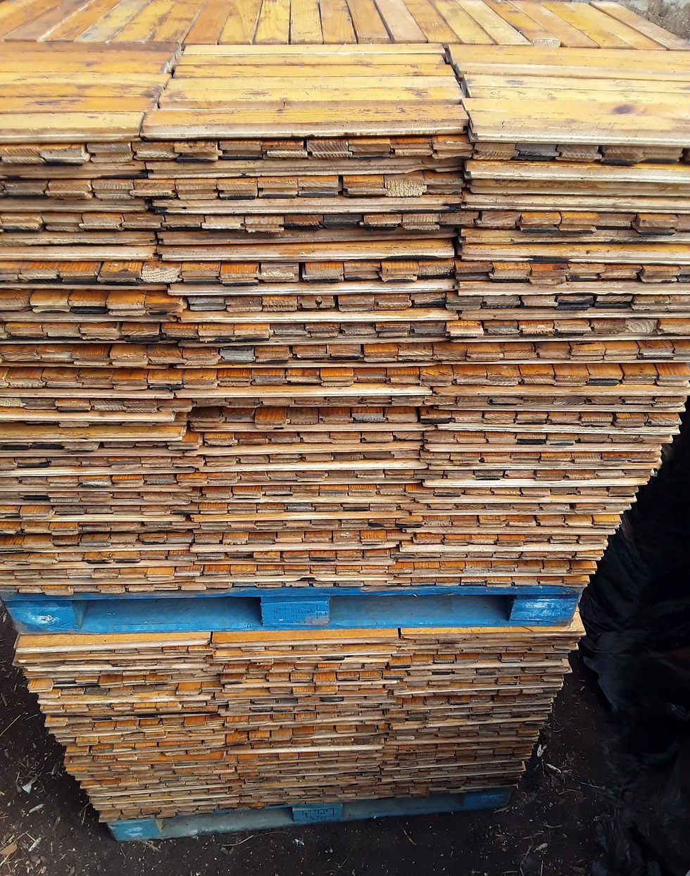 Reclaimed pine parquet. Rare 16 inch long.2 inch wide.20 mm thick