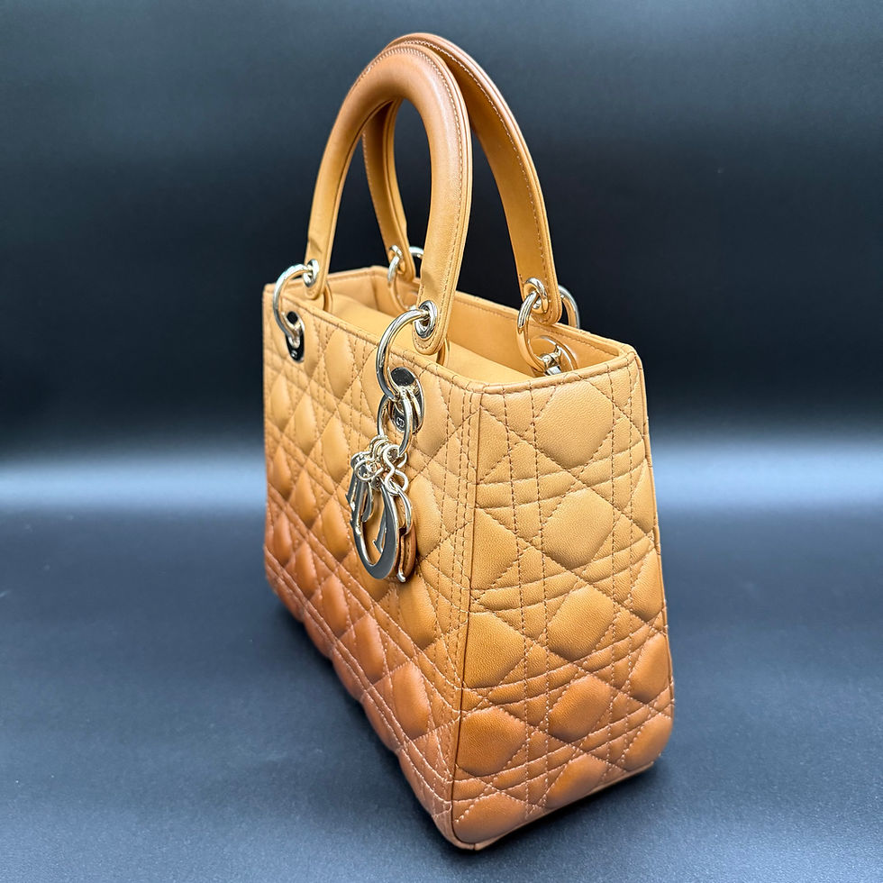 Thumbnail: Christian Dior Medium Lady D-Lite Limited Edition Ombre Brown