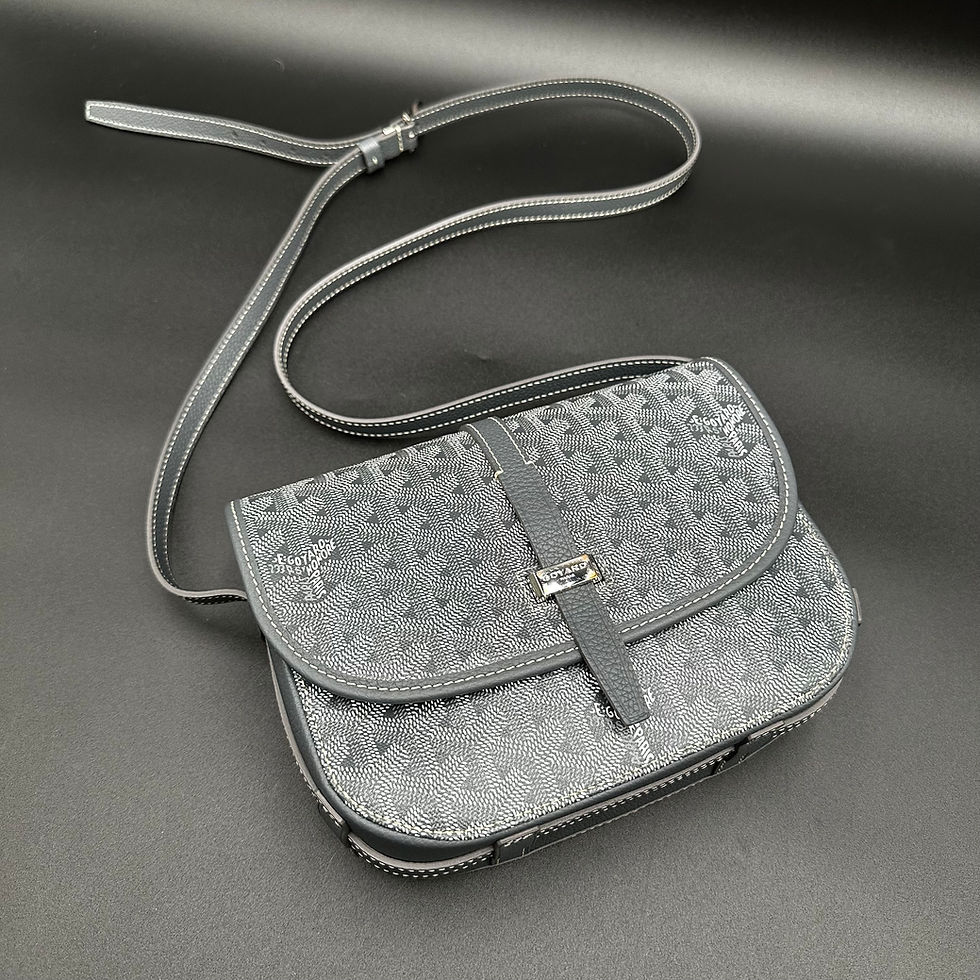 Thumbnail: Goyard Goyardine Belvedere PM Saddle Bag Gray