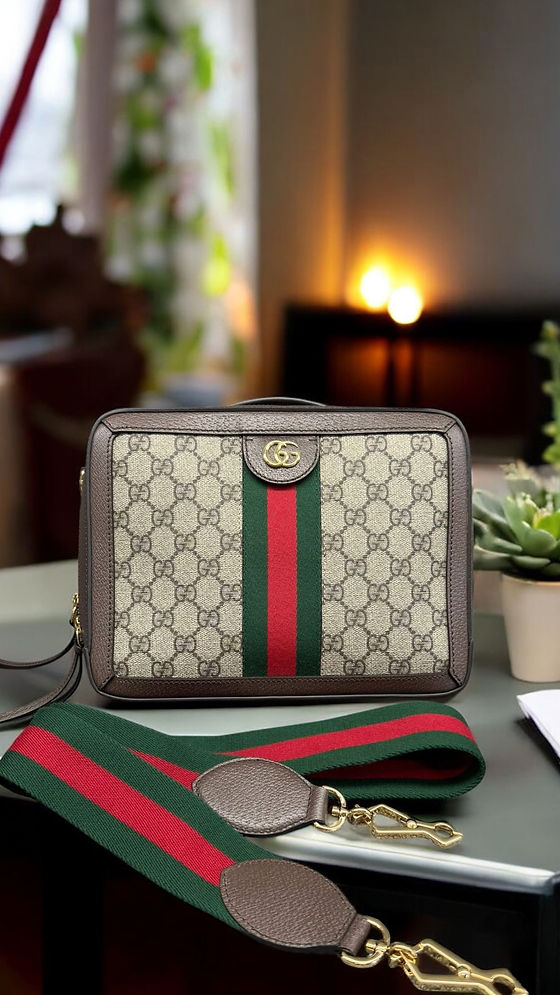 Gucci Ophidia Zip Around Camera Bag - Lunch Box | Luxe Bayong