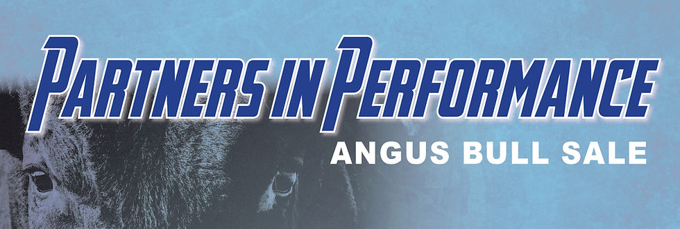 Partners In Performance Bull Sale