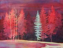 spruce-snag-for-newsletter-orig_2_orig.jpg