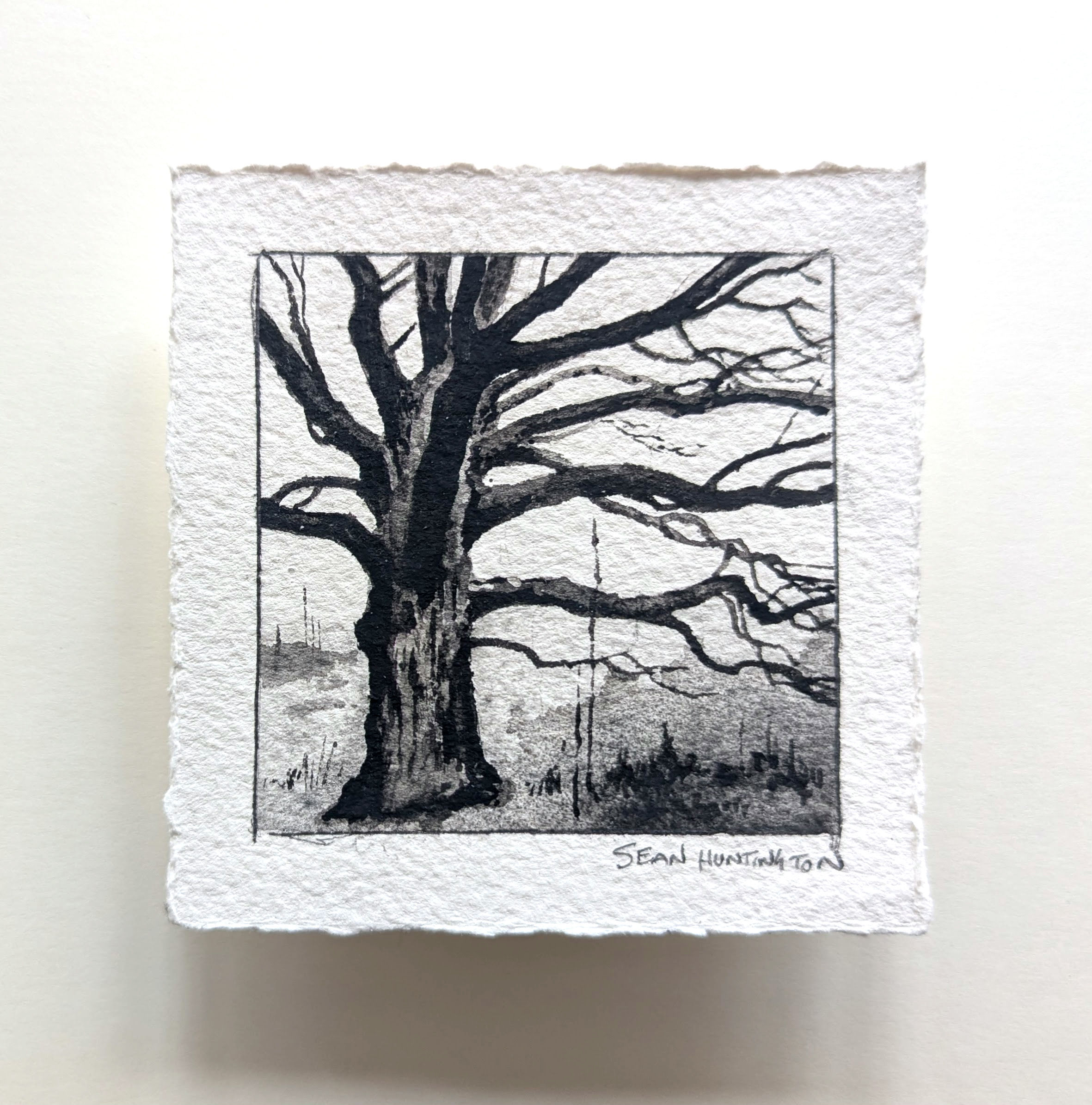 Study#16