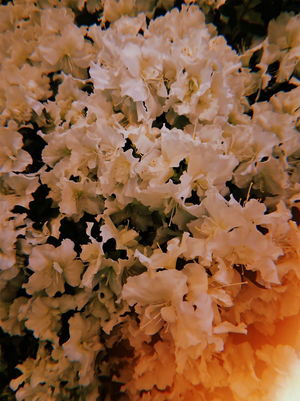 photo_2024-06-14 14.31.40.jpeg