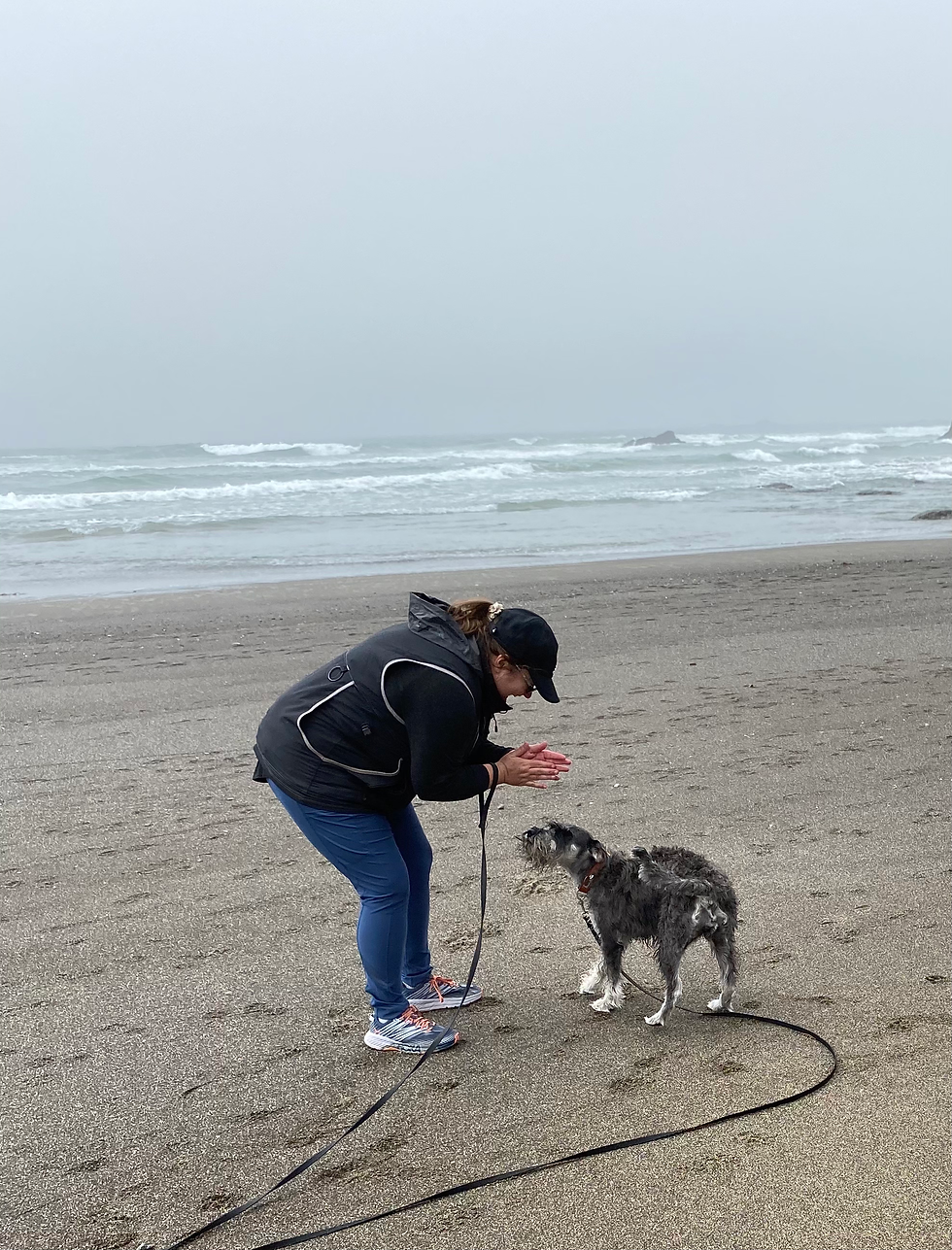 Build Secure Attachment with Your Anxious Dog