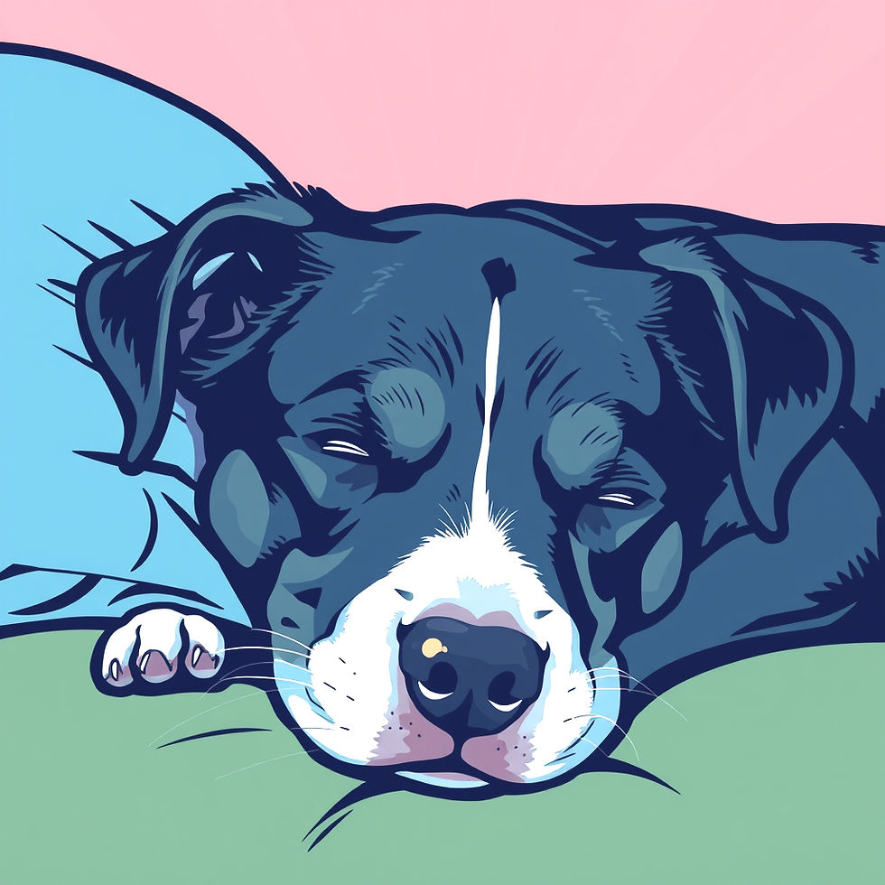 black dog sleeping on cushiony bed