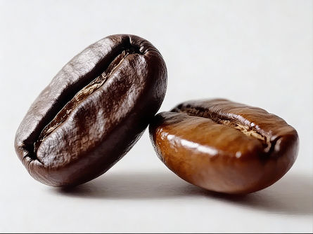 Arabica vs. Robusta: Die wichtigsten Unterschiede