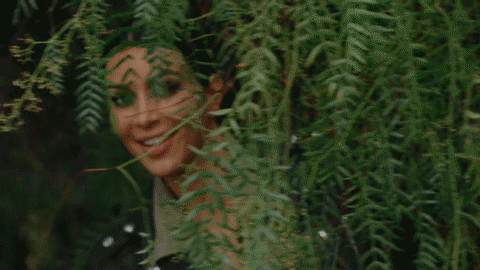 when-youre-trying-throw-shade-bush-your-way