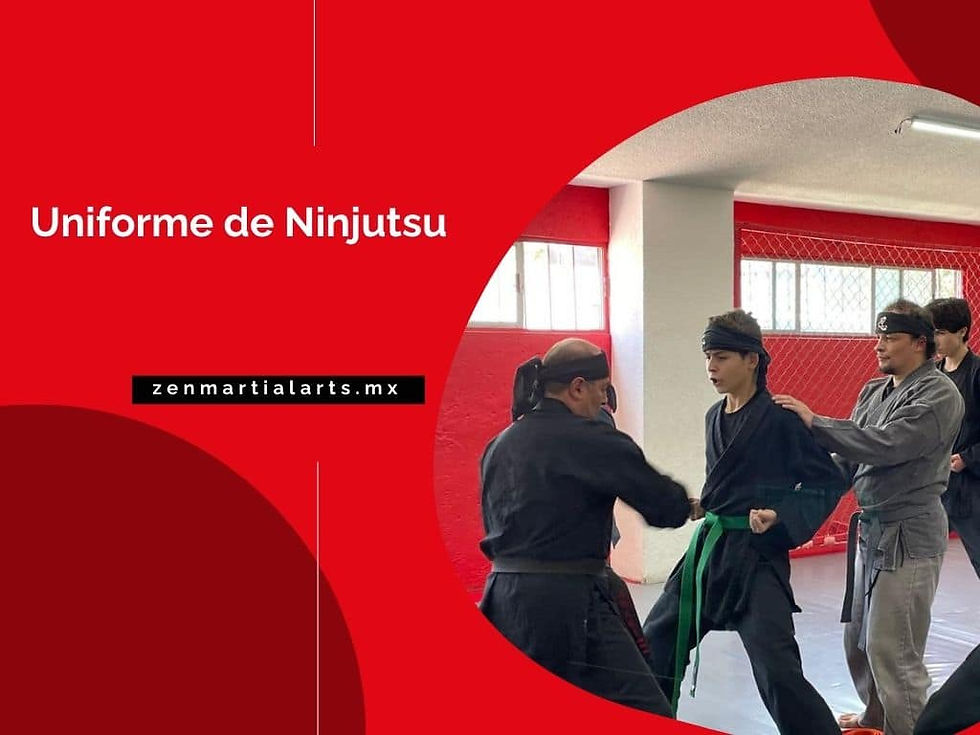 ninjutsu uniforme