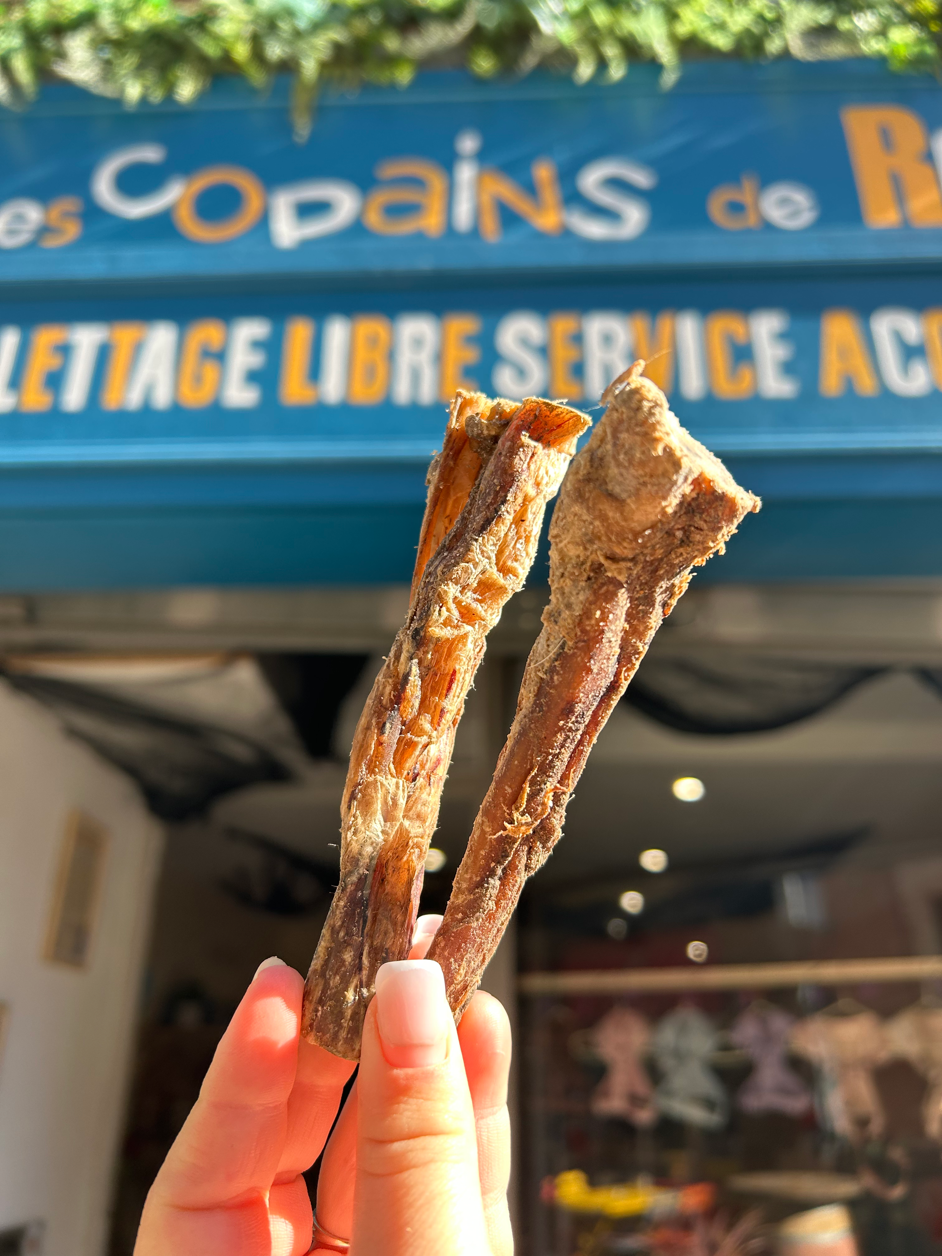 Tendon de boeuf (Vrac)