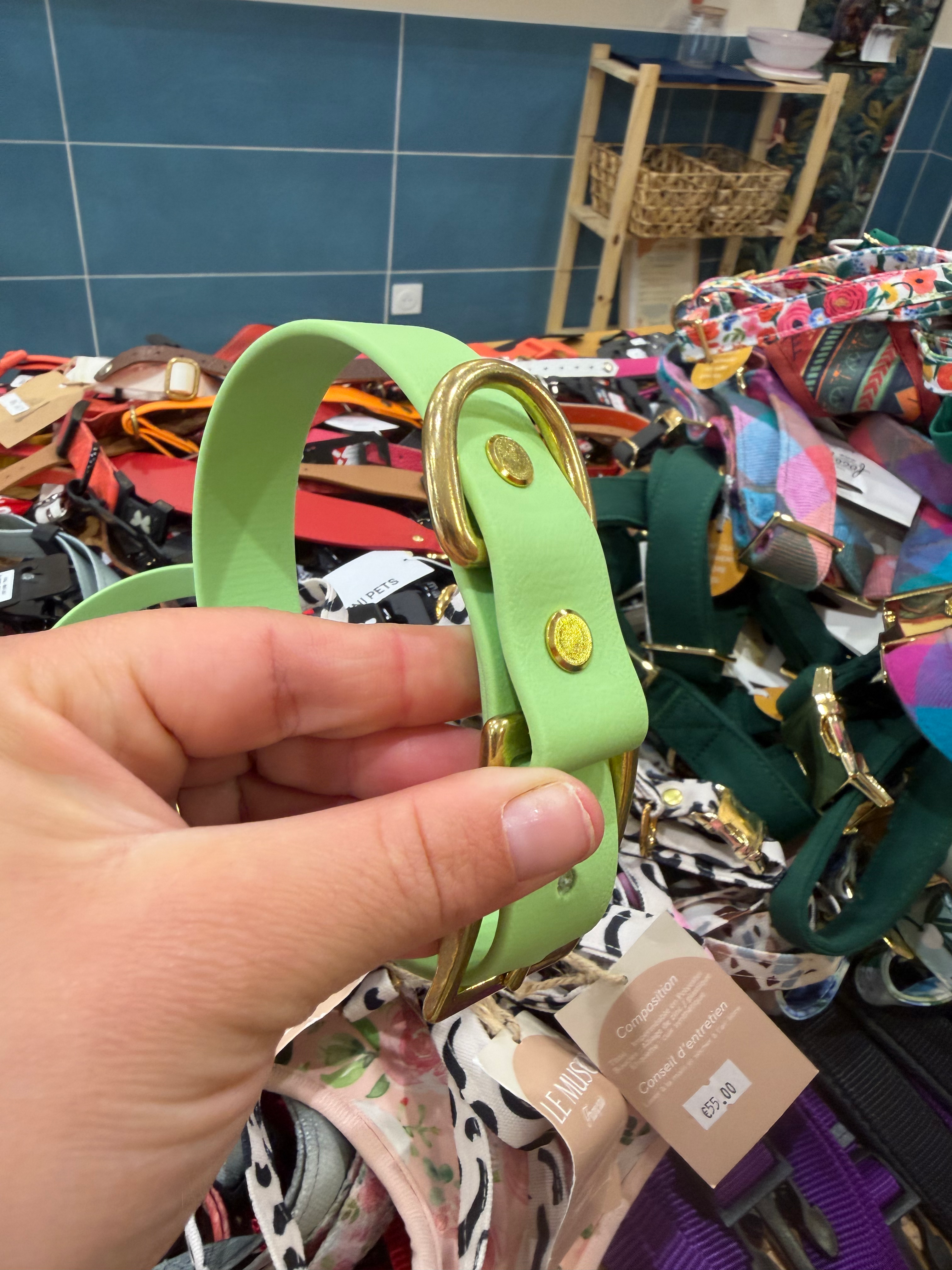 Collier biothane vert pastel