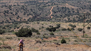 Pinyons and Pines 2026: Somewhere between Racing and Finding Myself