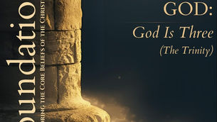 Saturday Reflection #7