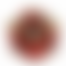 What Are You Giving This Christmas?