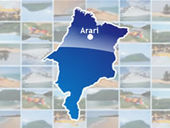 Indicadores demográficos de Arari