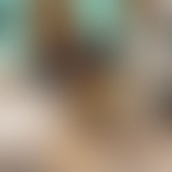 As bitas e os biteiros em Arari