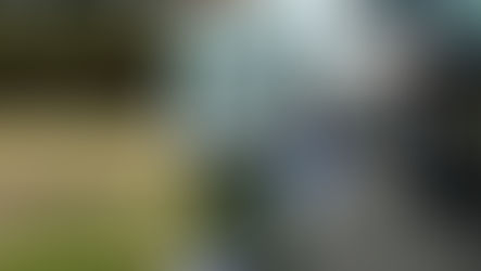 MARCH SERVICE PROJECT:           Period Products Collected