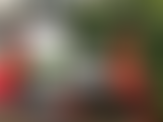 Protecting Your Pipes: How Backflow Prevention Safeguards Your Plumbing