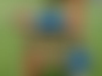 The Silent Threat: Understanding the Consequences of Missing Backflow Preventers