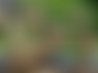 Navigating the Maze: Understanding Backflow Prevention Regulations