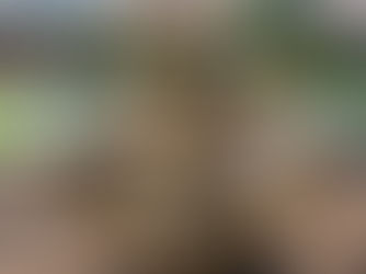 That Backflow Notice Arrived: Now What? A Homeowner's Guide