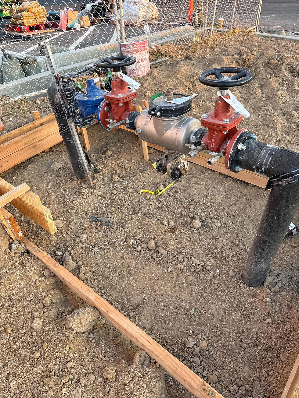 What Exactly Will the Technician Be Doing to the Device During the Test?